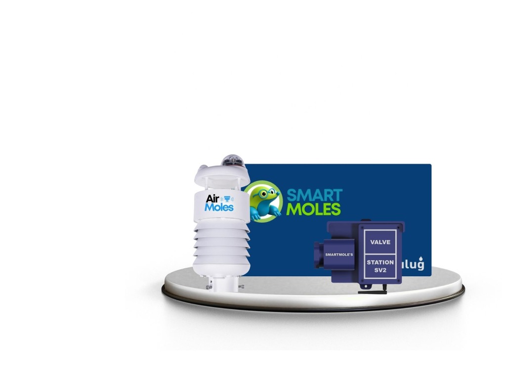 SmartMoles Store Ürünleri