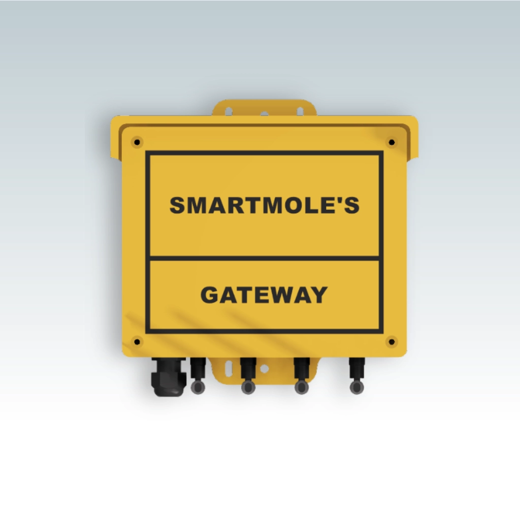 Gateway (LoRa)