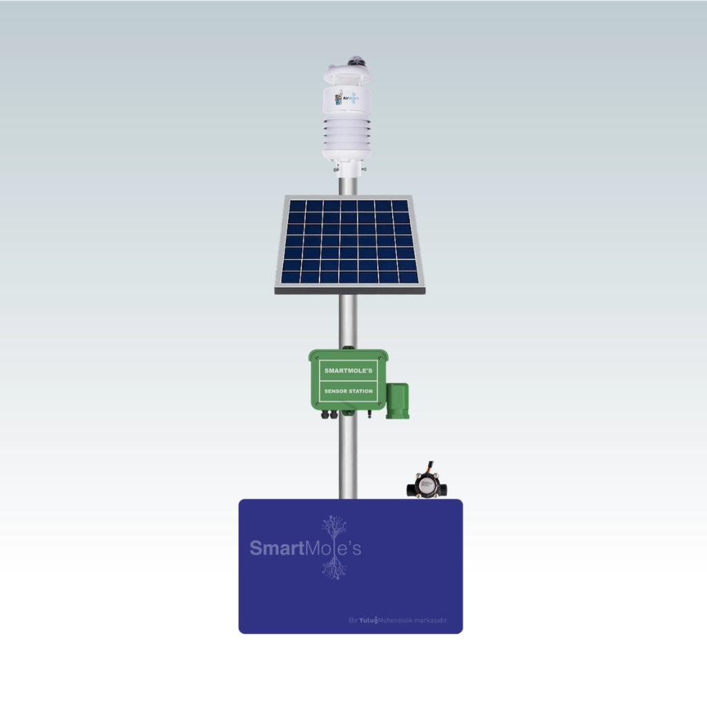 AirMole's + SmartMoles Sensör Seti 2