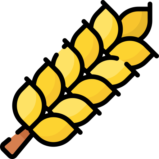 Buğday