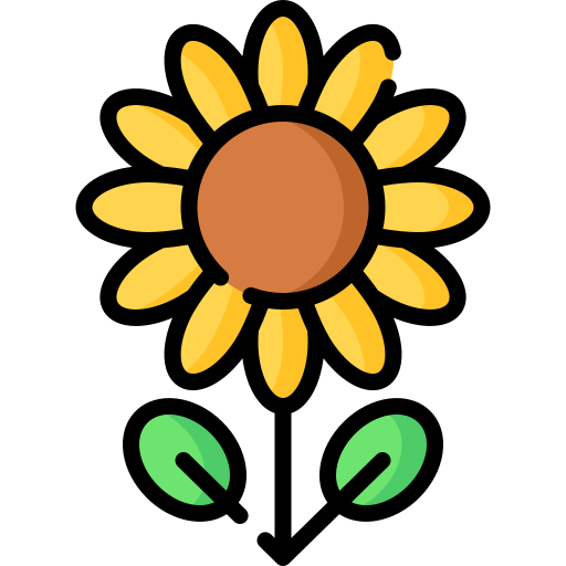 Ayçiçeği