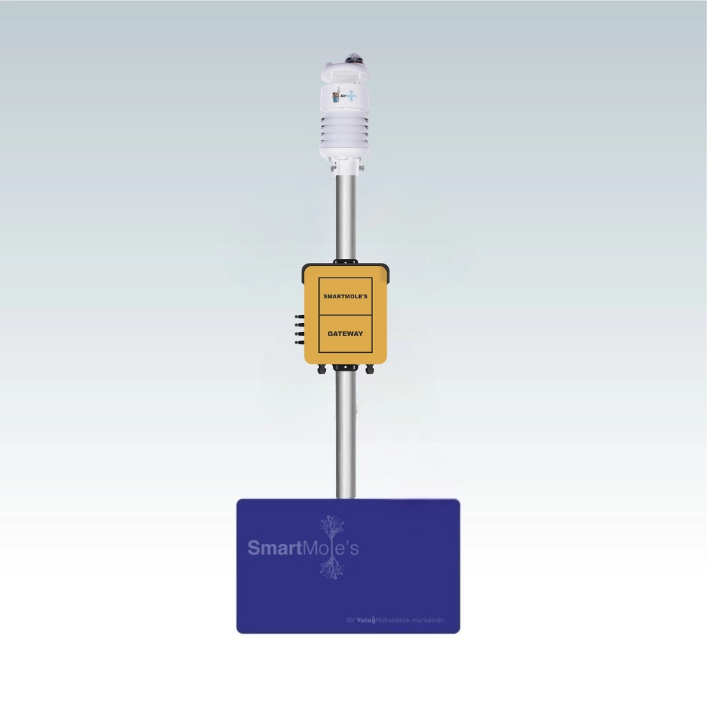 AirMole's + SmartMoles Sensör Seti 3